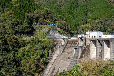 DSC08011-87.jpg